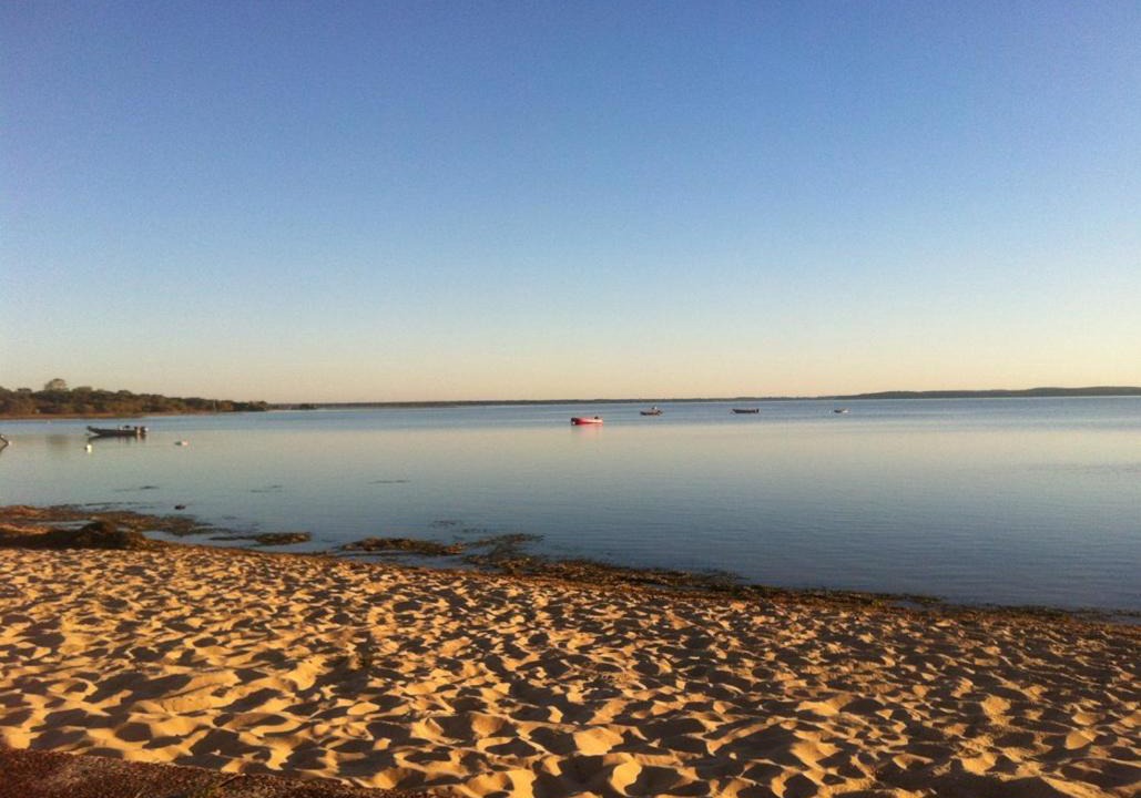 Photo of Outdoor in Biscarrosse