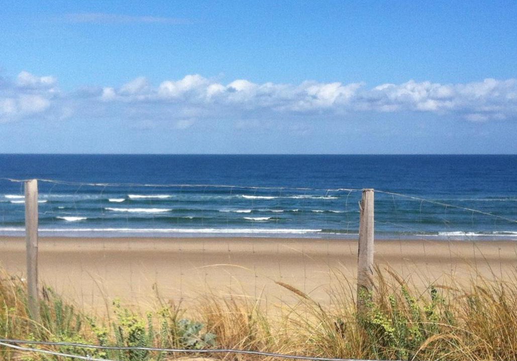 Photo of Outdoor in Biscarrosse