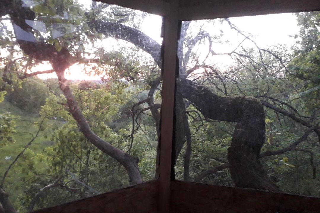 Photo of Others in Mones