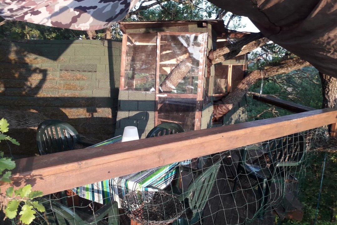 Photo of Others in Mones