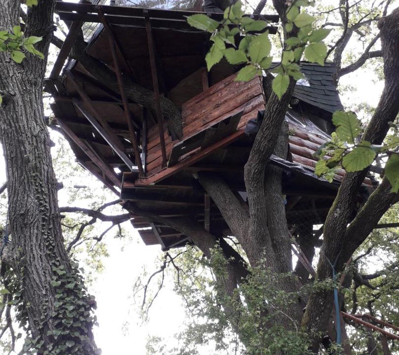 Photo of Others in Mones