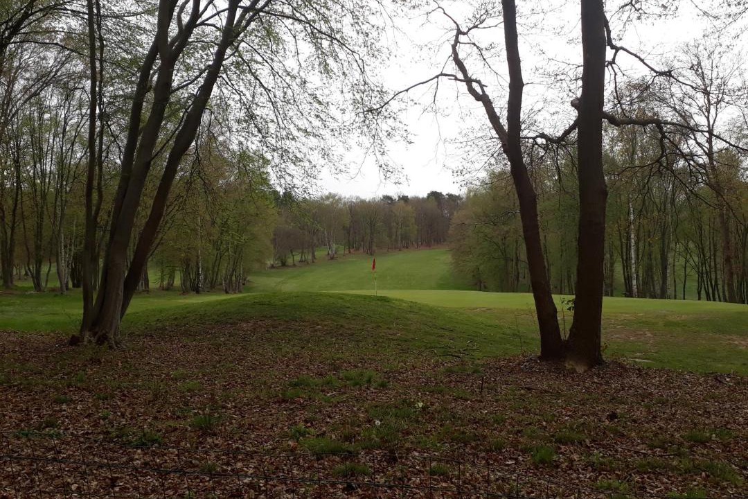 Photo of Others in Jumieges