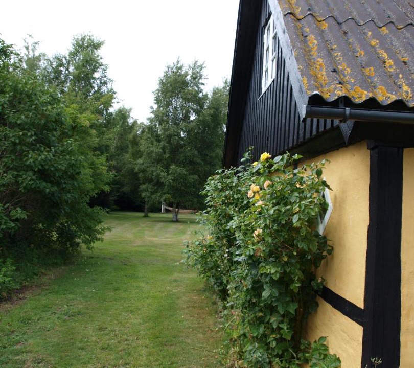 Photo of Buildings in Læsø