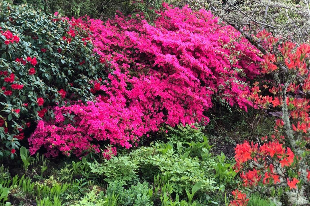 Photo of Others in Port Glasgow