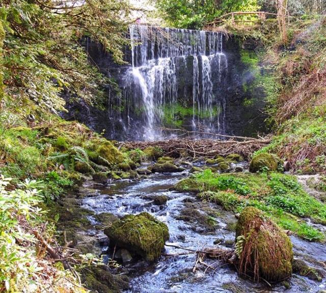 Photo of Others in Port Glasgow