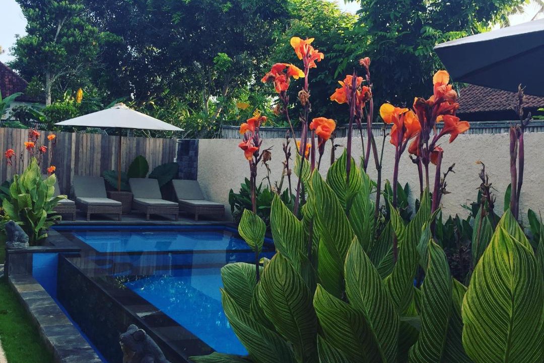 Photo of Others in Mushroom Bay