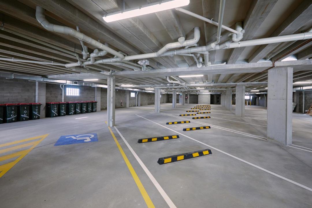 Photo of Others in East Maitland