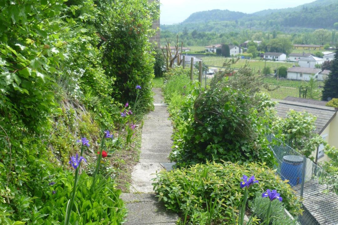Photo of Others in Terre di Pedemonte