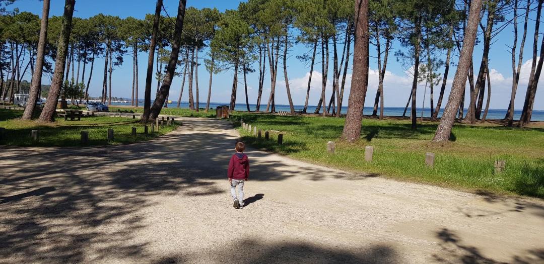 Photo of Others in Sainte-Eulalie-en-Born
