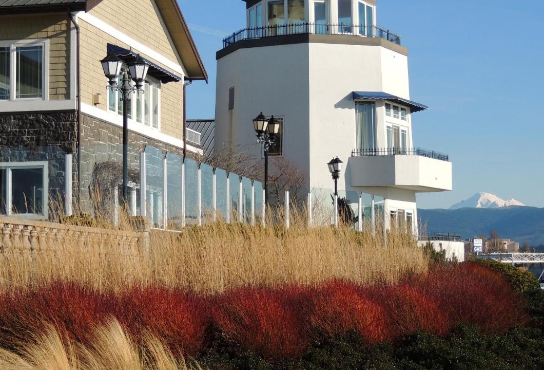 Photo of Others in City Center