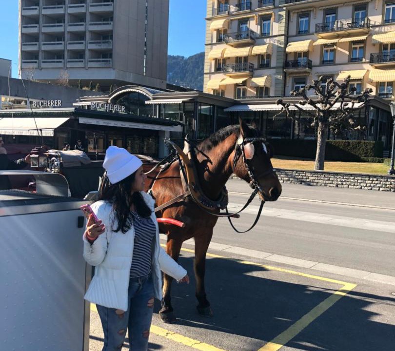 Photo of Others in Mattenhof-Weissenbuhl