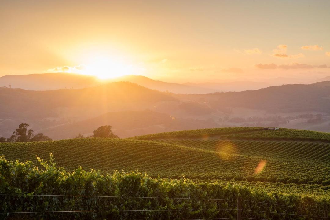 Photo of Outdoor in Myrrhee