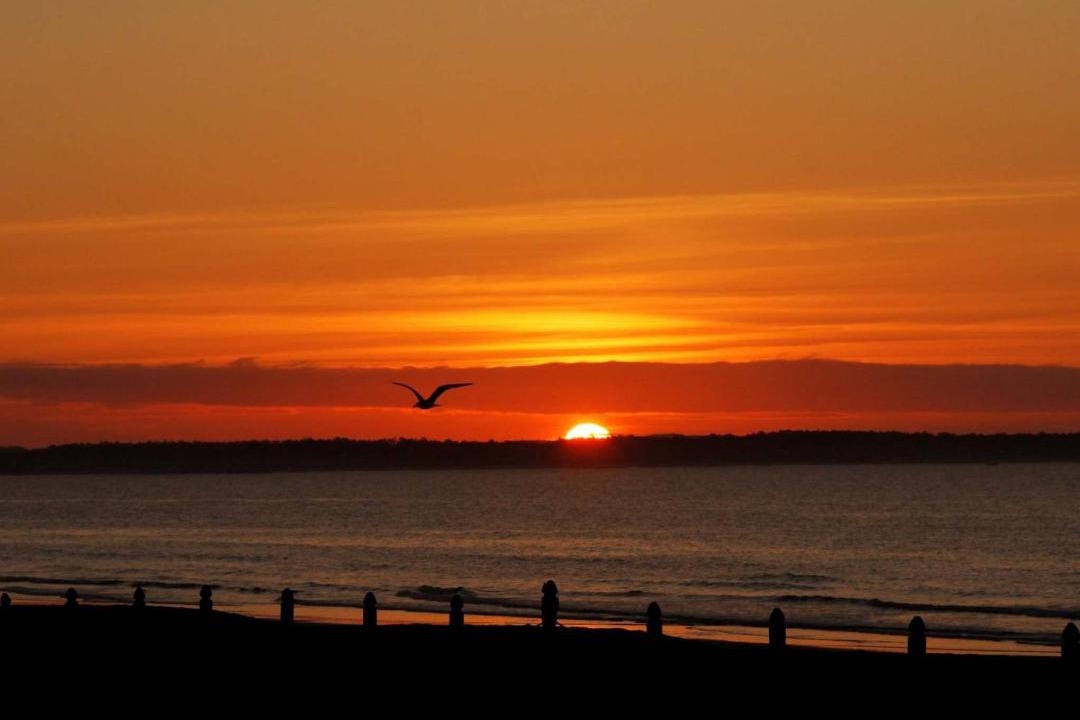 Photo of Others in Old Orchard Beach