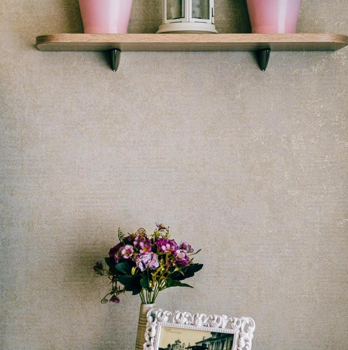 Photo of Others in Pskov Old Town