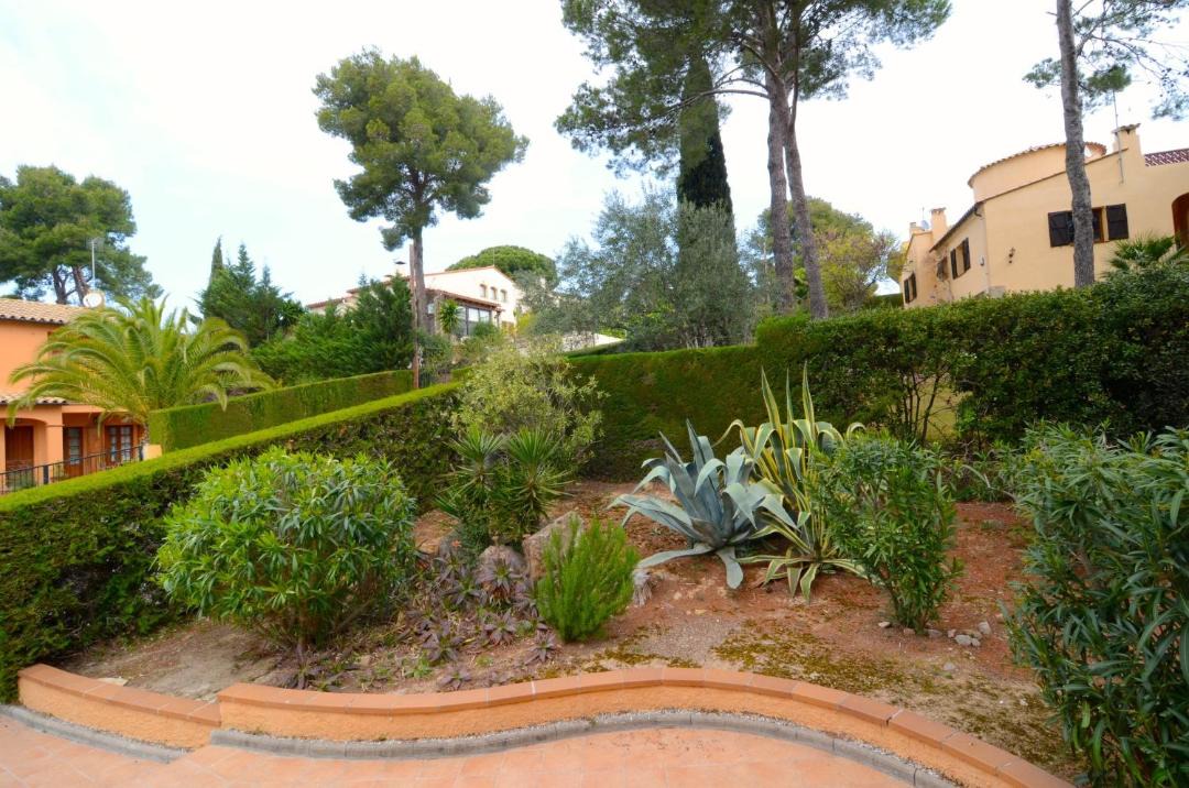 Photo of Others in La Torre Vella