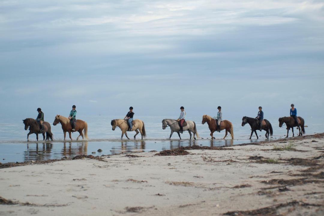Photo of Others in Læsø