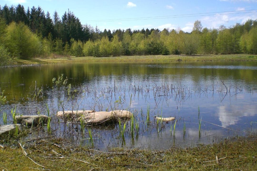 Photo of Outdoor in Læsø