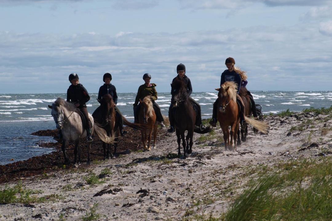 Photo of Human In Picture in Læsø