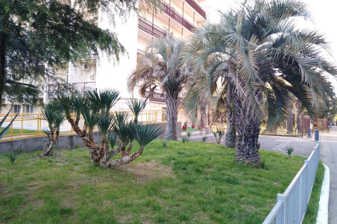 Photo of Others in Golubye Dali