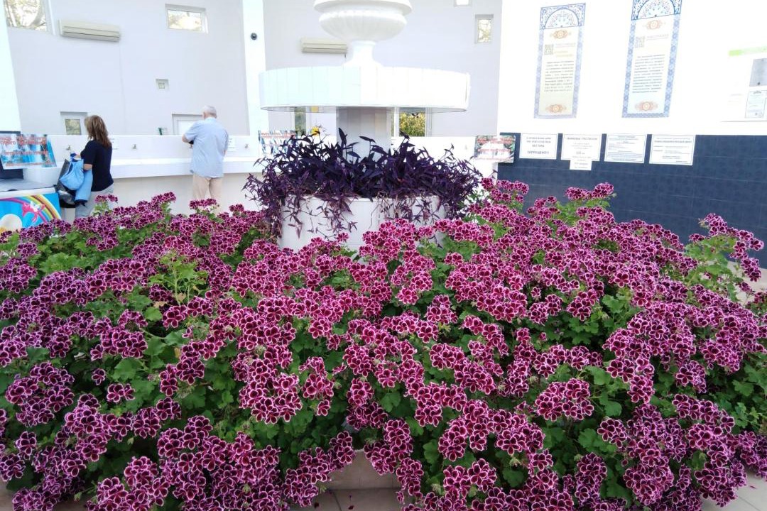 Photo of Others in Golubye Dali