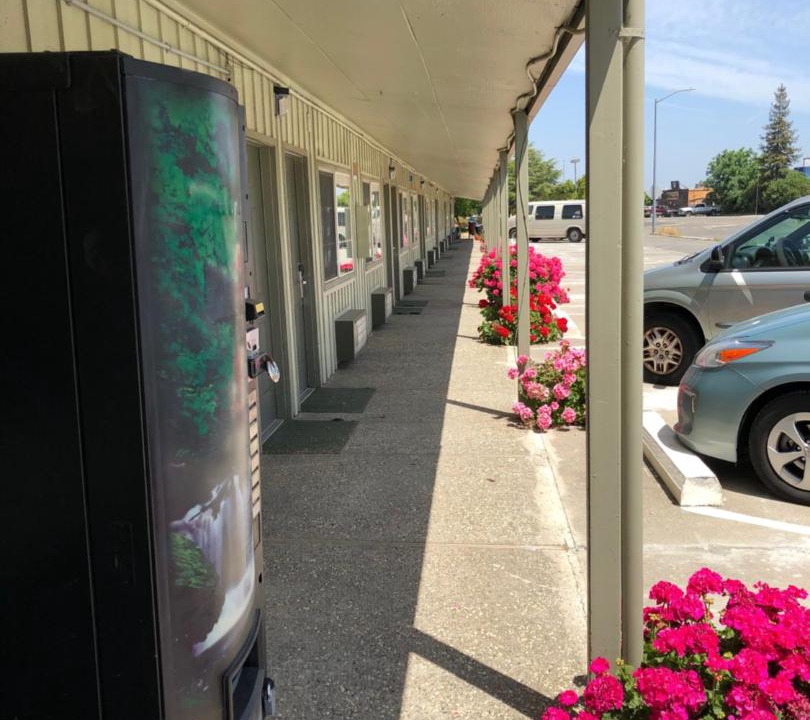 Photo of Others in Dixon