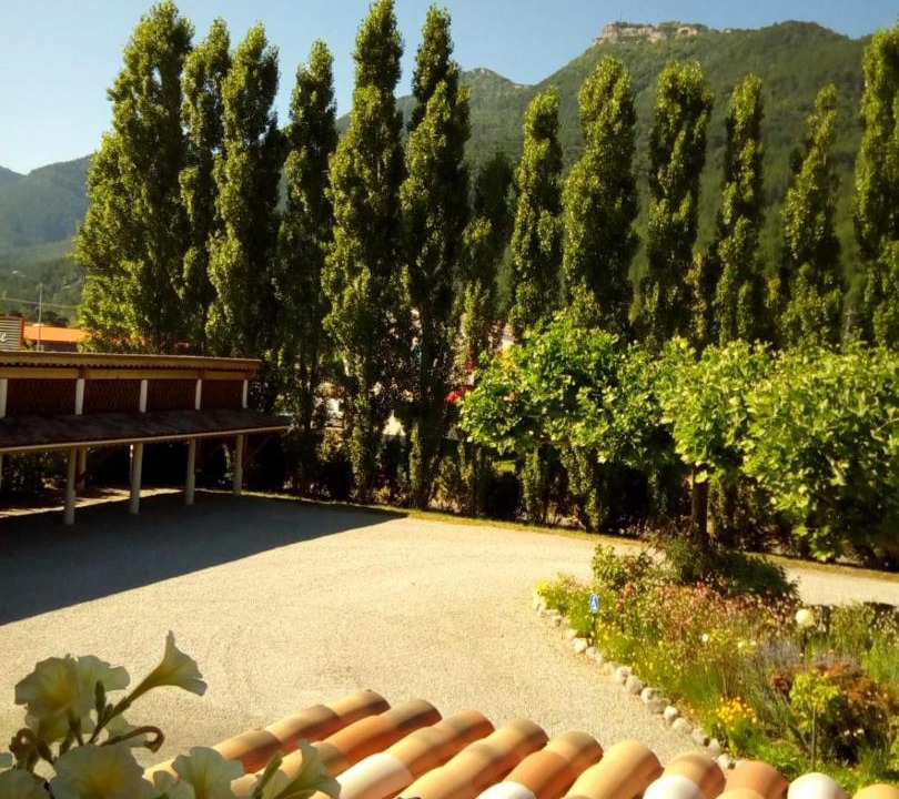 Photo of Others in Die