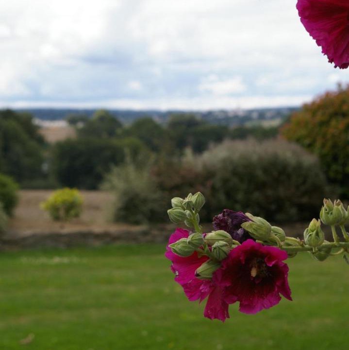 Photo of Others in Cleguerec