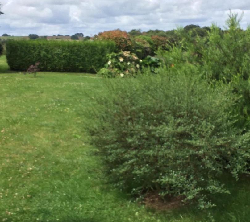 Photo of Others in Cleguerec