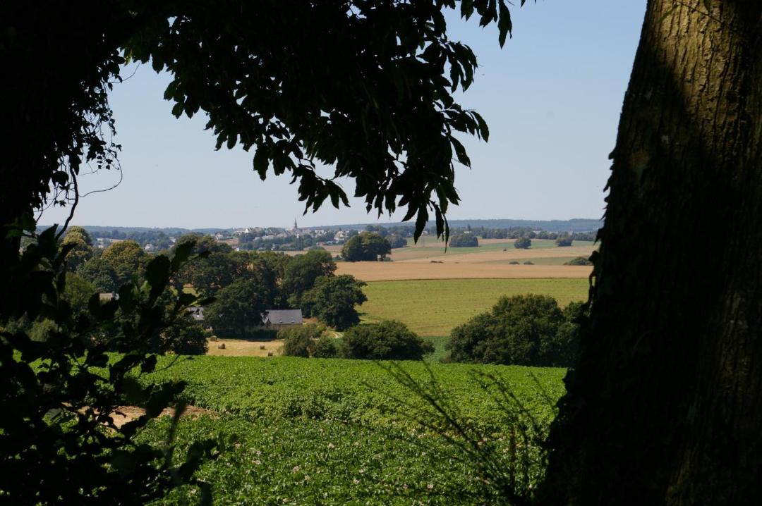 Photo of Others in Cleguerec