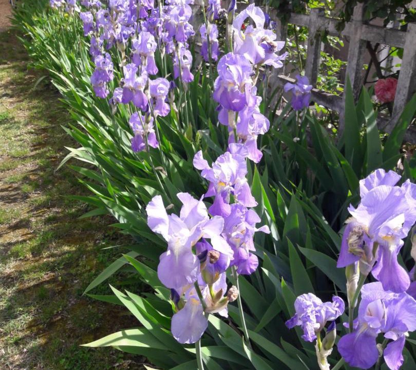 Photo of Others in Saumur