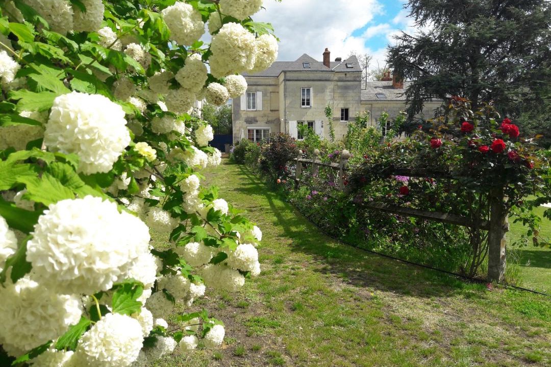 Photo of Buildings in Saumur
