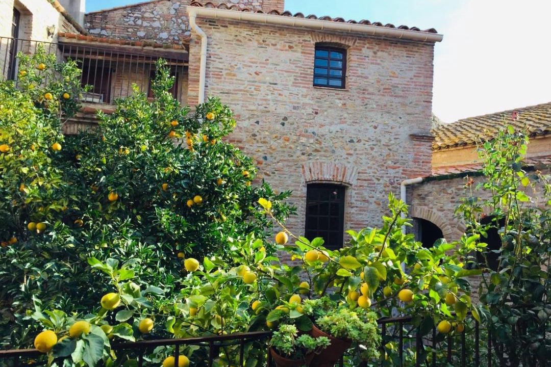 Photo of Others in Torreilles