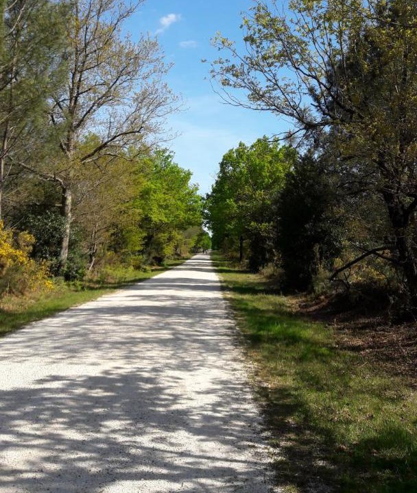 Photo of Others in Saint-Medard-en-Jalles