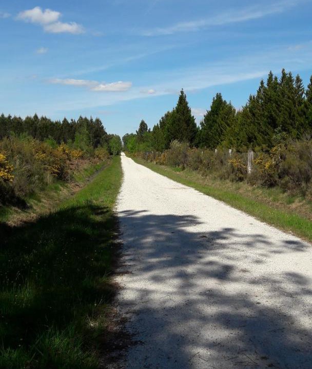 Photo of Others in Saint-Medard-en-Jalles