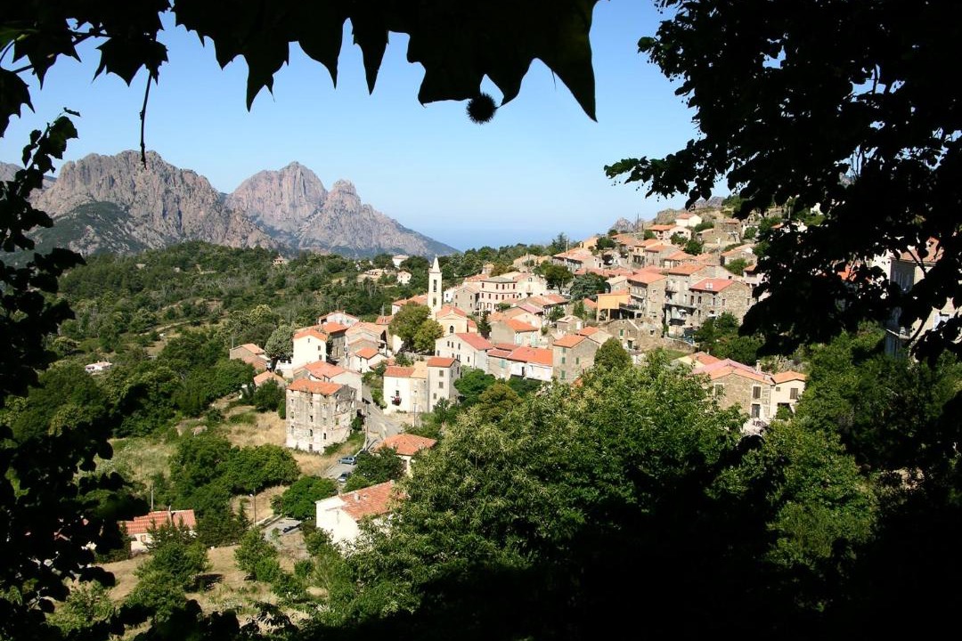 Photo of Others in Evisa