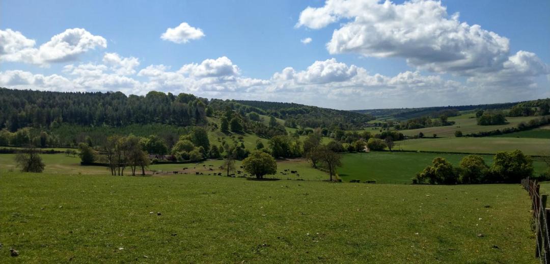 Photo of Others in Stonor