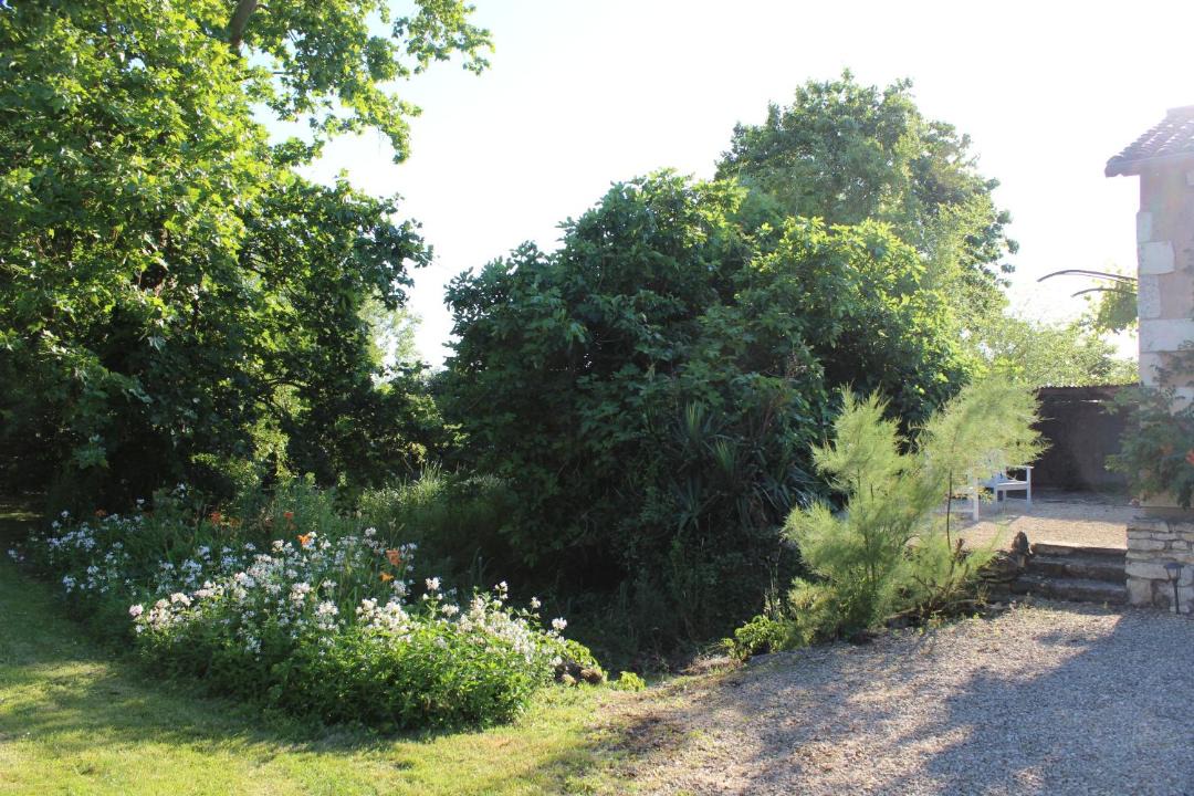 Photo of Others in Savigne