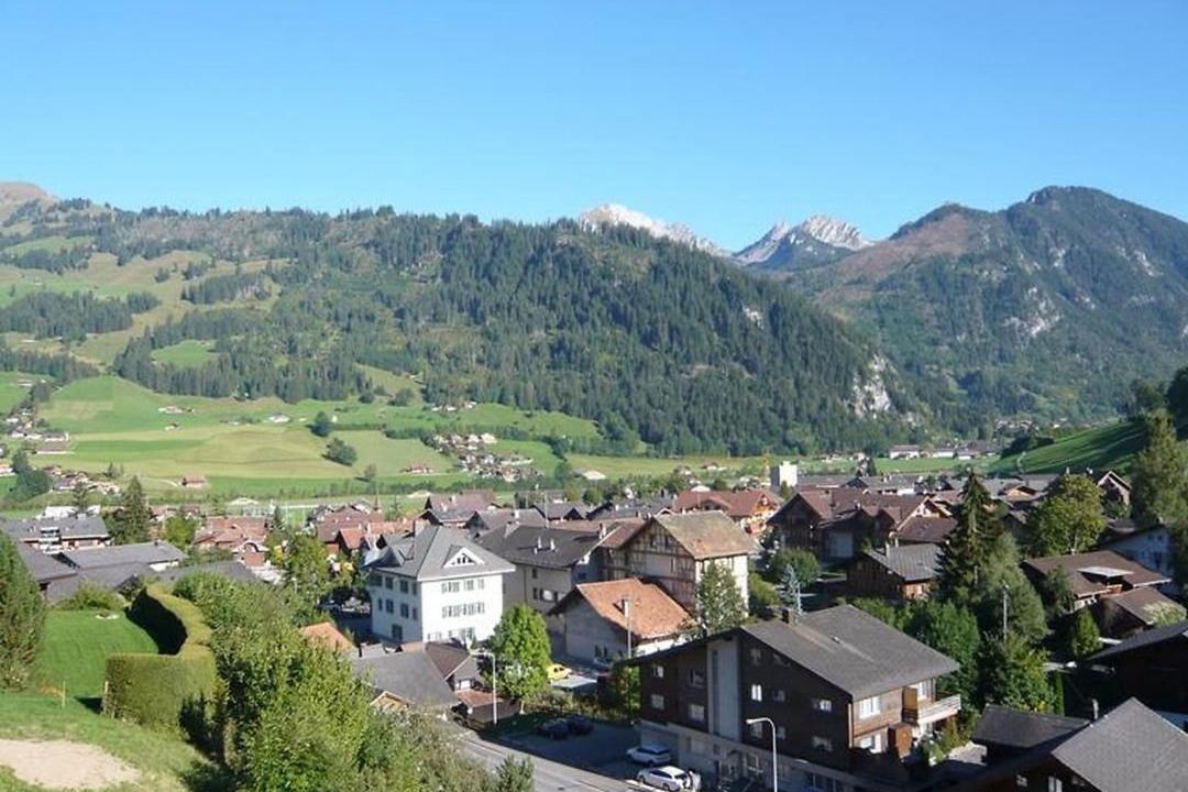 Photo of Others in Zweisimmen