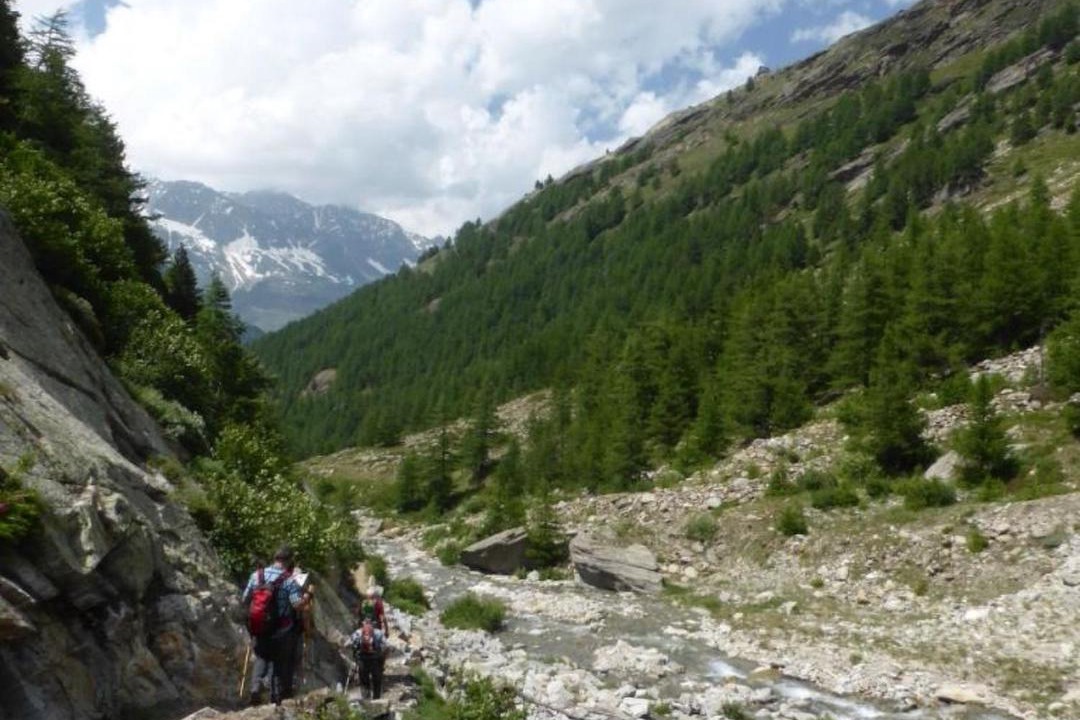 Photo of Others in Saas Almagell