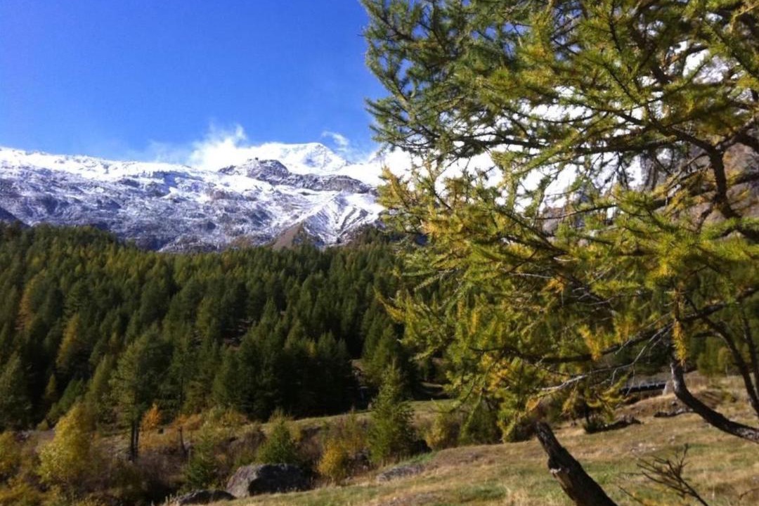 Photo of Outdoor in Saas-Fee