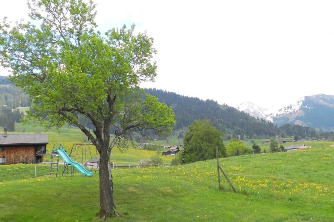 Photo of Others in Saanen
