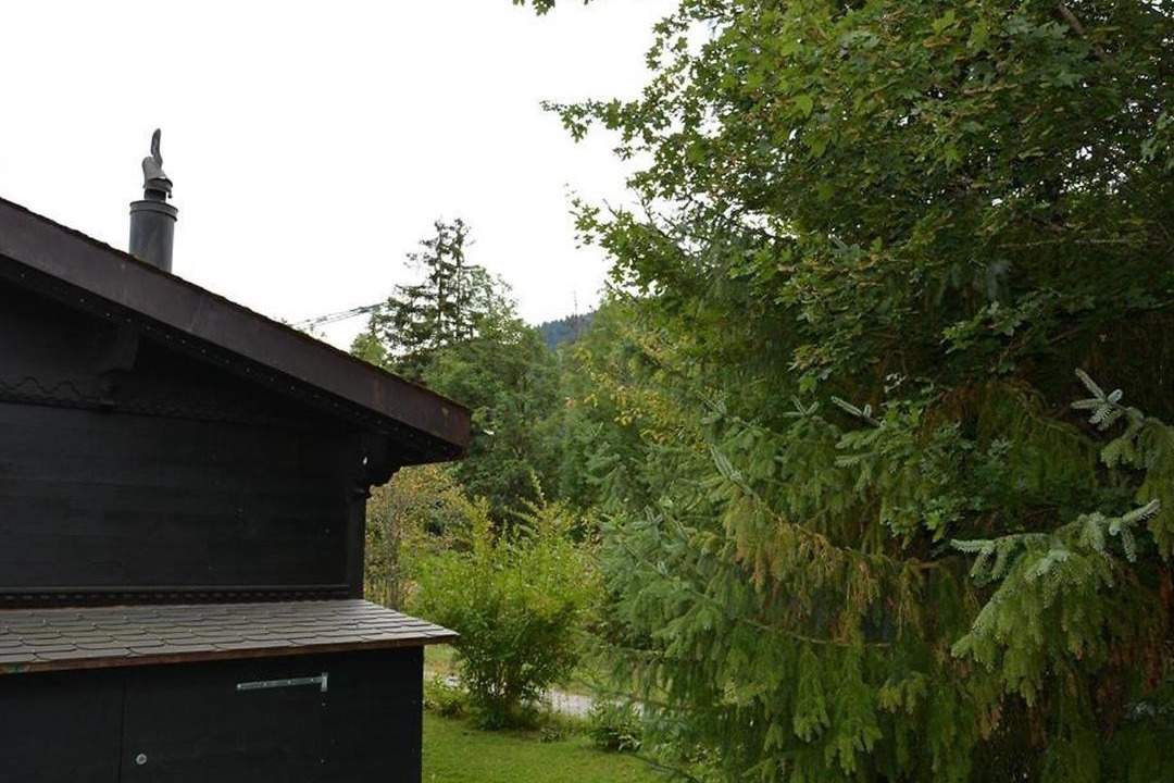 Photo of Others in Saanen