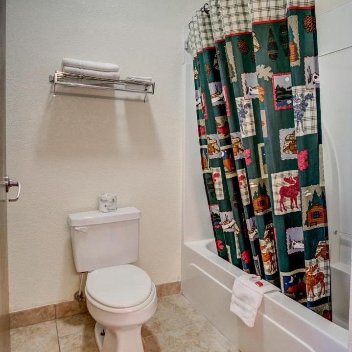 Photo of Bathroom in Neosho