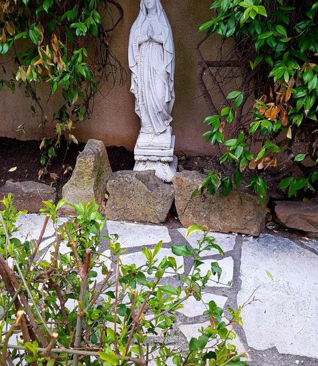 Photo of Others in Port Cogolin