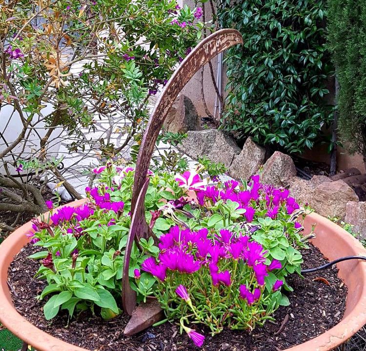 Photo of Others in Port Cogolin