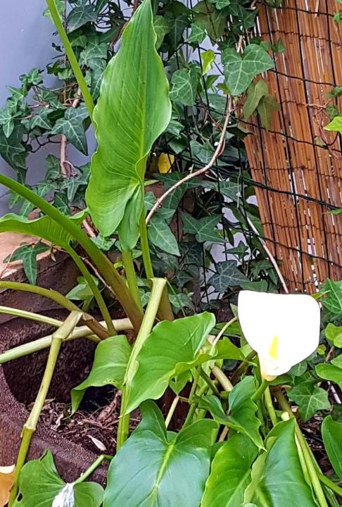 Photo of Others in Port Cogolin