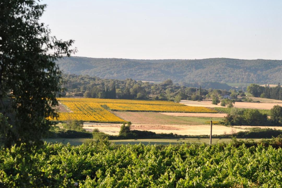 Photo of Others in Blauzac