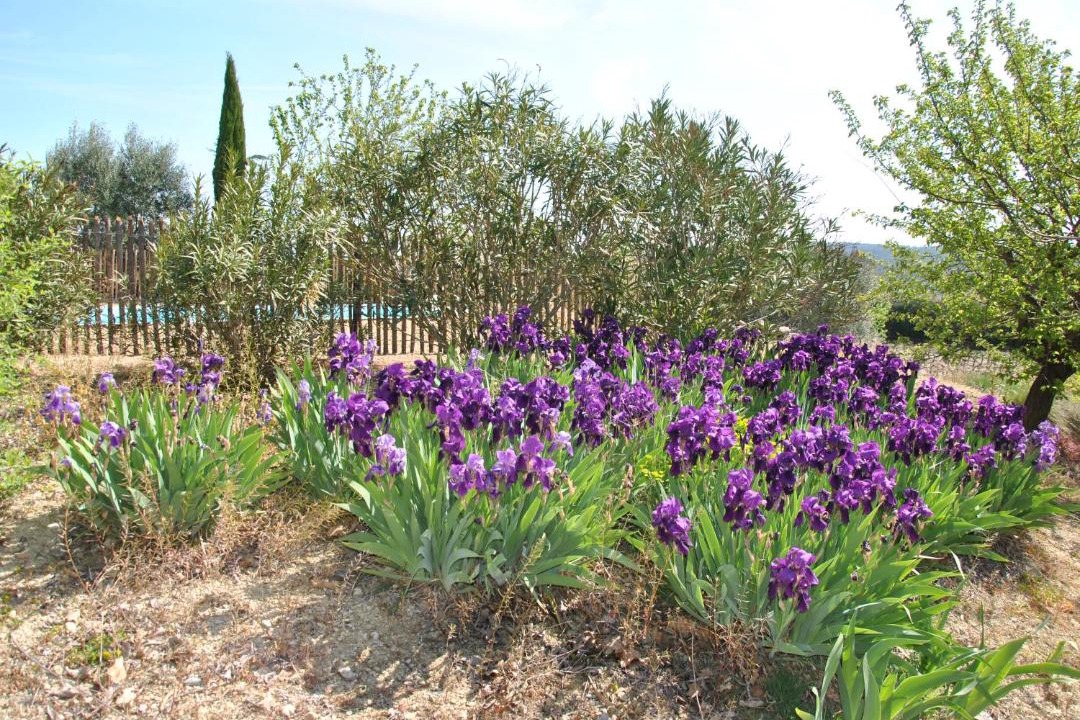 Photo of Others in Blauzac