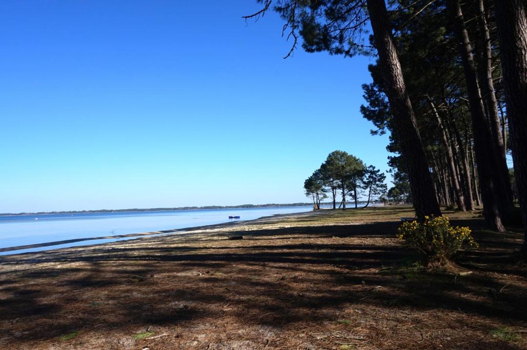 Photo of Others in Biscarrosse Plage