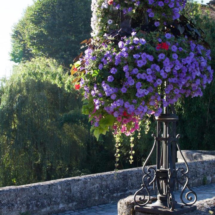 Photo of Others in Confolens